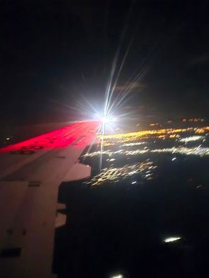 nblnknn's profile picture. 