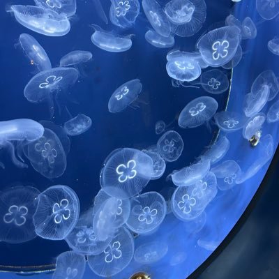 20↑ 喫煙者・ペット× お声掛けの際は出来れば2日内にご連絡をいただける方・dm移行後ID付きお写真・領収書をお送りいただける方・報告等をしていただける方でお願いします △推しでも交換に出すこともあります
