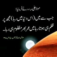 Ali Hashmi (@alihashmi903) 's Twitter Profile Photo Ali Hashmi (@alihashmi903) 's Twitter Profile Photo