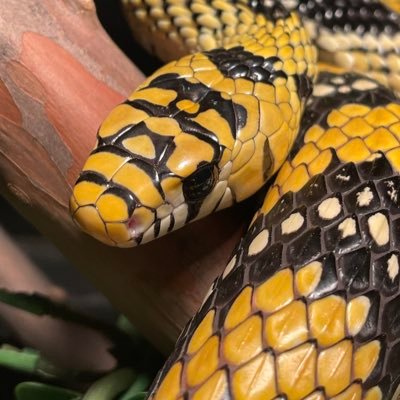 billdavey23's profile picture. 