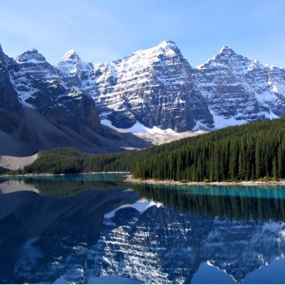 DueceJack's profile picture. Martingale strategy by fading the Rockies Run Line