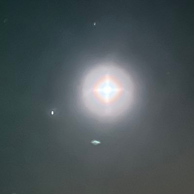 beapetelee's profile picture. 