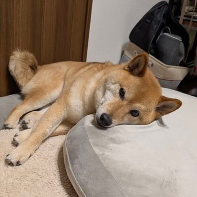 rsPKyzAGfhfMBu8's profile picture. ้เพื่อความบันเทิง