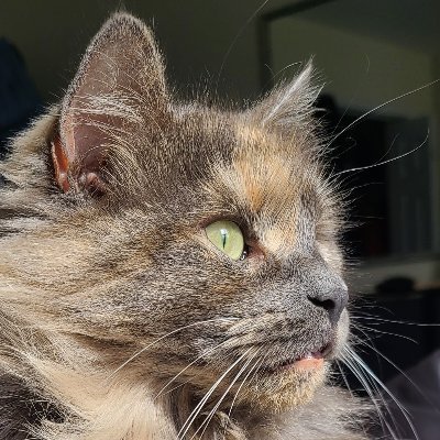 thebkfoster's profile picture. conservatives are either ignorant or evil.