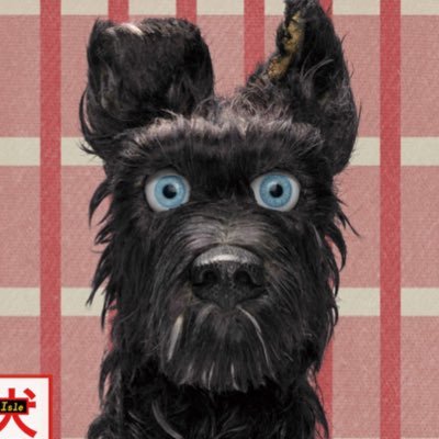 TOMOさんのプロフィール画像