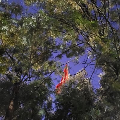 PAYLAŞIMLARIM kendi düşüncelerimdir.RT, YORUMLAR ve ALINTILAR bu paylaşımlara fikren katıldığım anlamına gelmez.