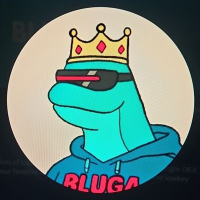 BLUGA Profile