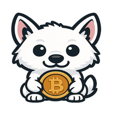 @cryptokofficial