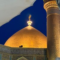 Fatemeh Adhami (@fadhami74) 's Twitter Profile