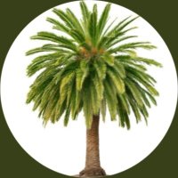 ام معاذ (@kb56078020) 's Twitter Profile