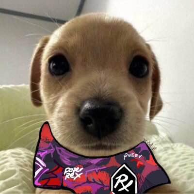 gilu_xd's profile picture. 