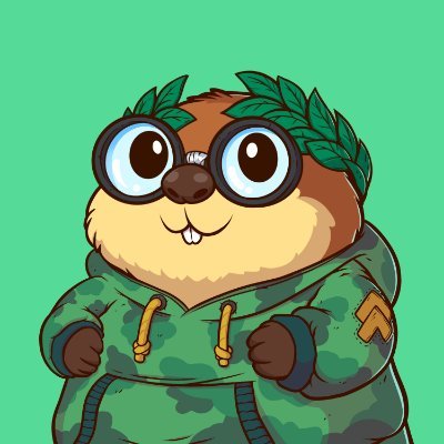 karlatfn's profile picture. NFTs is full of endless possibilities!
Solana | Ethereum