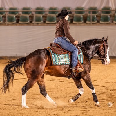 German cowgirl, since 3 cats officially a CCL, coffee addict, T💍, loves metal and horror movies