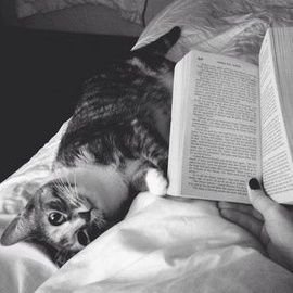 Worte1Worte's profile picture. insan bin ümit, bin telaş, bin hasret, bir ölüm..