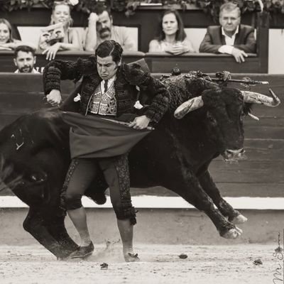DuendeyArrebato's profile picture. Joven aficionado a los toros.
Abonado a las Ventas y la Glorieta. Crónicas más extensas de lo habitual, sin perder detalle - o intentándolo -.