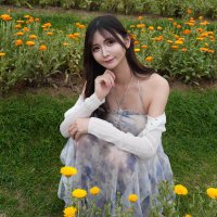 shufutan (@nyantan_mo) 's Twitter Profile