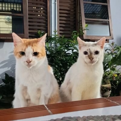 Njooandi's profile picture. Clinical Psychologist