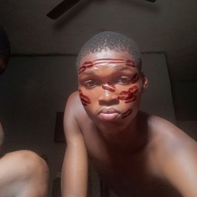 Daniel598550443's profile picture. 