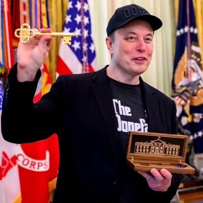 Livechat1799755's profile picture. 