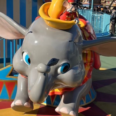 motikatto's profile picture. 当アカウントは高田村アカウントに生まれ変わりました。今は🧸🍫中心に🌸🥛🐬🚬🐧⏰などなど視聴✌️基本箱推し✌️育児中のため現場基本ないです😭//20↑//関東