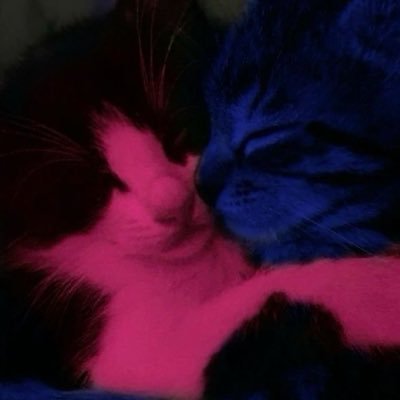 cosmalla's profile picture. 