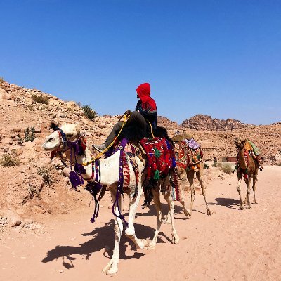 erbeaurpere's profile picture. King of Battle