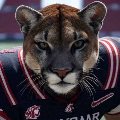 if you like my content, please follow….I normally always follow back. Cougs Vs. Everybody!