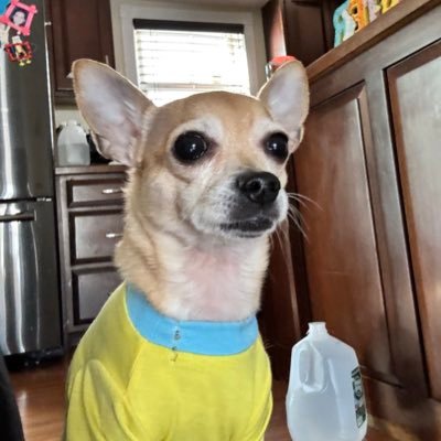 Glenn1692851's profile picture. Just bored wish I can find some fun