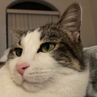 AndrewHoll90221's profile picture. 