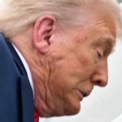 VOTEBLUEZOO's profile picture. HUGE DEMOCRAT