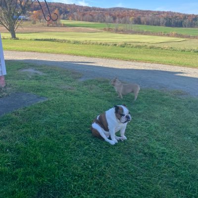 dkq62ptm7j's profile picture. live your life like it was your last day and enjoy it