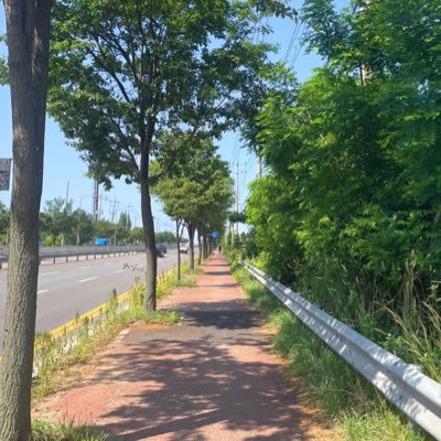 🕯️죽어가요_아체로アチェロさんのプロフィール画像