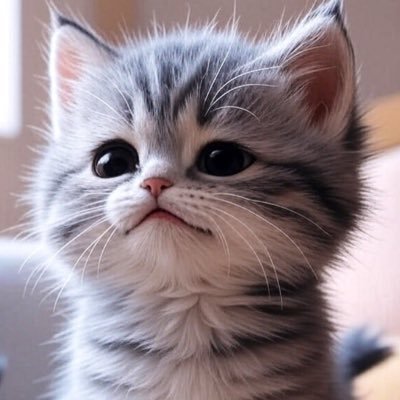 386maiton_So's profile picture. 無言フォロー失礼致します。基本的DMはお返ししません。