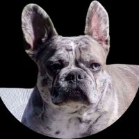 $ELLA (@getrichwithella) 's Twitter Profile Photo $ELLA (@getrichwithella) 's Twitter Profile Photo