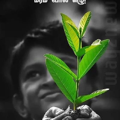 SANJAY21680121's profile picture. 🇲‌🇸‌🇵‌ 🇬‌🇷‌🇴‌🇺‌🇵‌