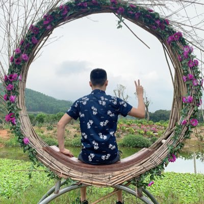 HoaNhu534232's profile picture. 