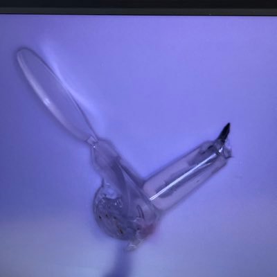 AlbertoGFranco's profile picture. Father, gfather, love technology, Boxing, MMA, MTB and Basketball fan. #JavaScript