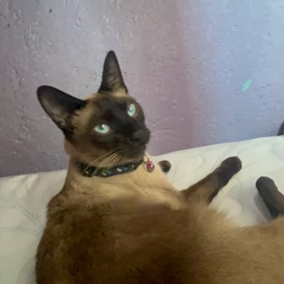 Mexican controller player in fortnite i speak english and spanish