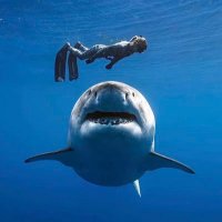 徐海.eth (@xuhai_eth) 's Twitter Profile
