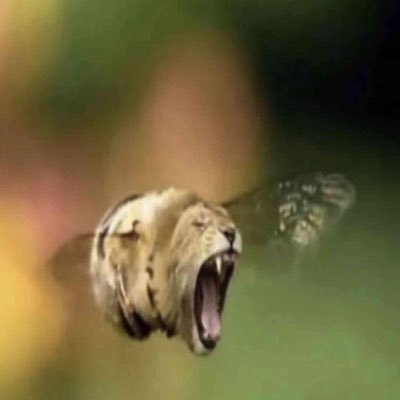 clintisntcool's profile picture. 20 || he/him