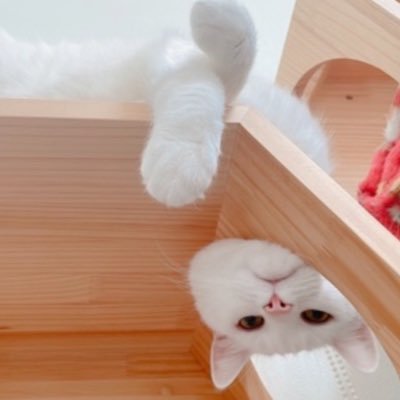 Bemiさんのプロフィール画像