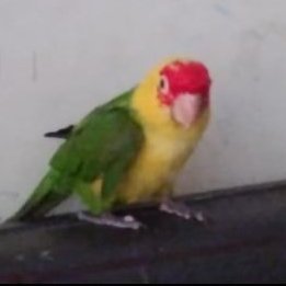 LeGlacsy_'s profile picture. 