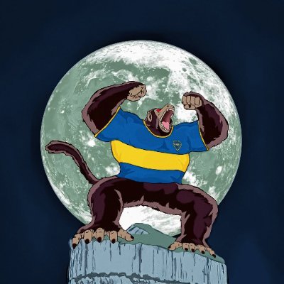 Fanático de Boca Juniors y del Fútbol ⚽️
Siempre Mono , Nunca Sapo. #JUGADORN12