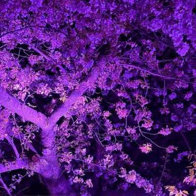 a5714022353573's profile picture. 