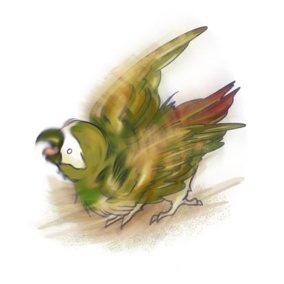 papagei_sand's profile picture. 모래먹음이