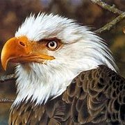 AntonioAajesil's profile picture. 