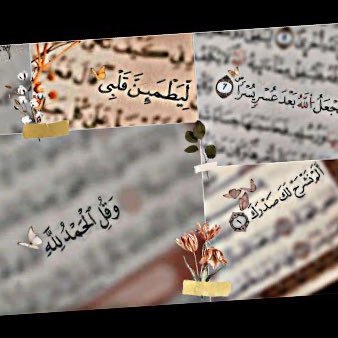 MemoAGF's profile picture. حِكمه واقتباسات ومنوعات ..📖✍️