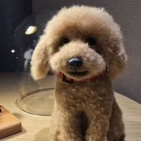 Vertigoo (@forlmsy_01) 's Twitter Profile