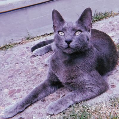 MagaliCeleste96's profile picture. 