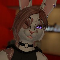 Sasha The Fox AD (@sashathefoxad) 's Twitter Profile